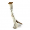 natural shoe horn